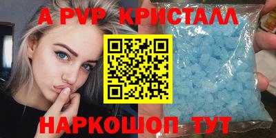 шишки Изобильный