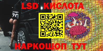 шишки Изобильный