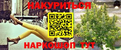 шишки Изобильный