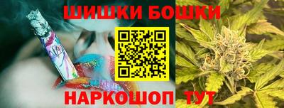 шишки Изобильный