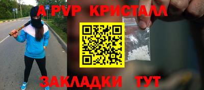 шишки Изобильный