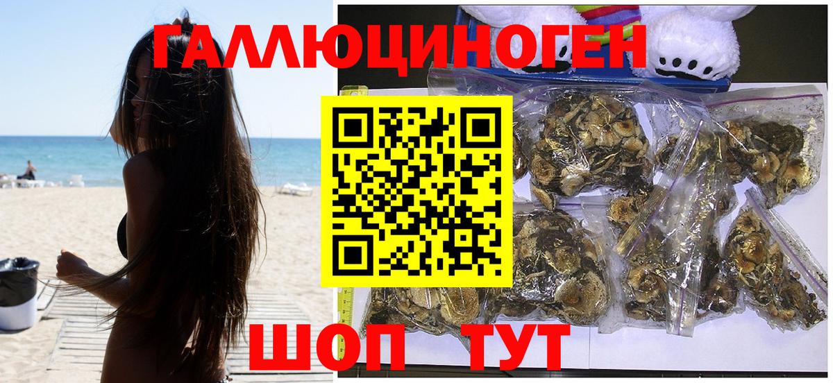 Галлюциногенные грибы ЛСД  Вход с VPN  Курчалой 