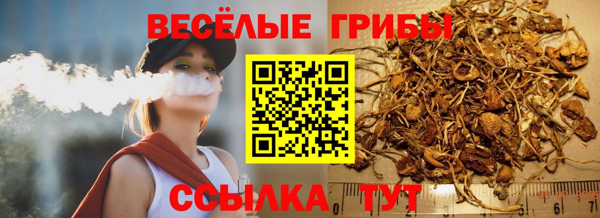 Псилоцибиновые грибы GOLDEN TEACHER Курчалой